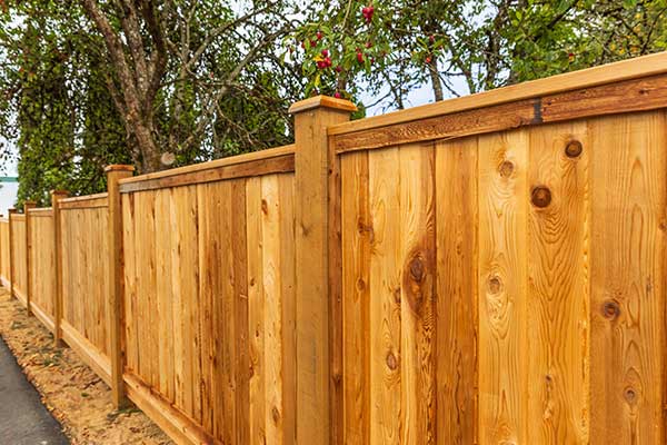 Learn More About Fences Learn More About Fences